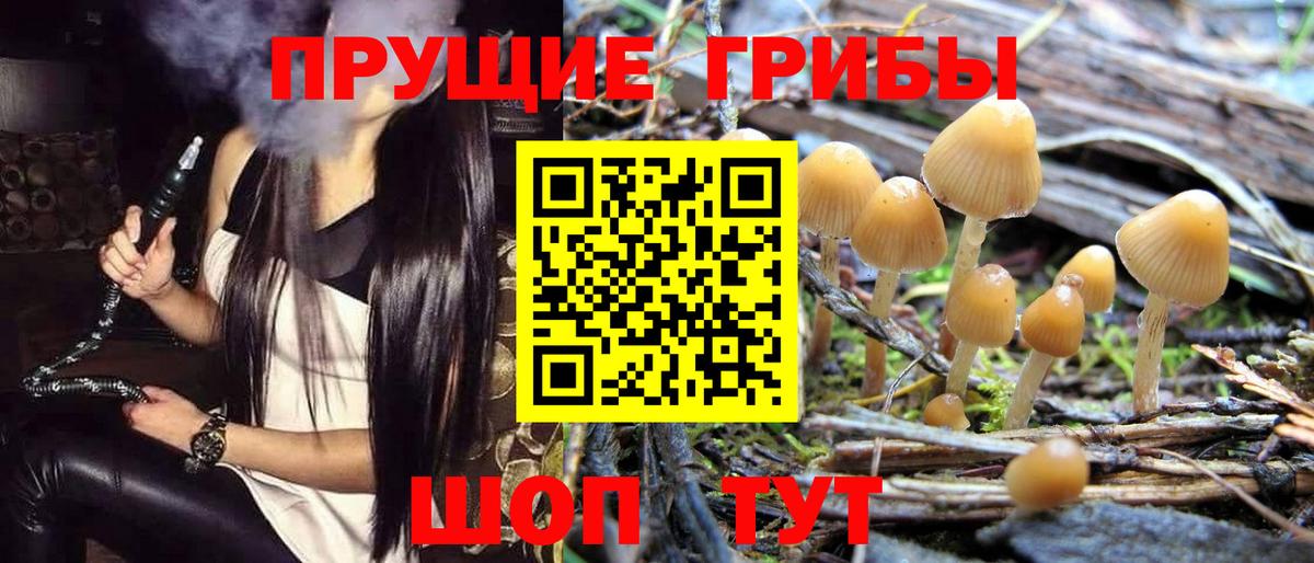 Галлюциногенные грибы Magic Shrooms Карачаевск