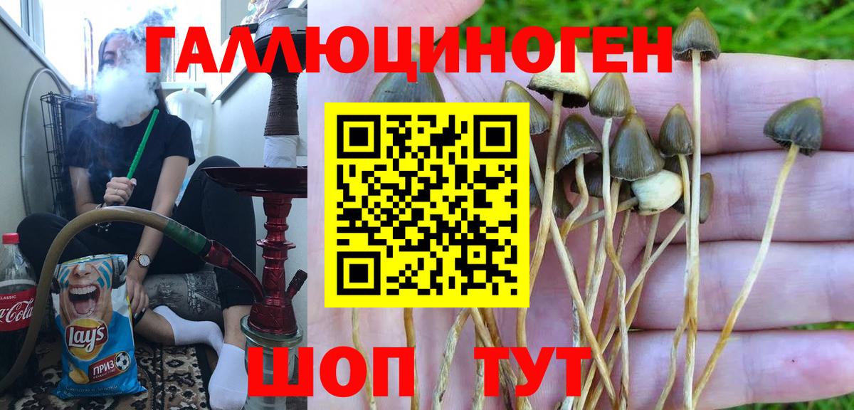 Галлюциногенные грибы мицелий  Вход с VPN  Карачаевск 